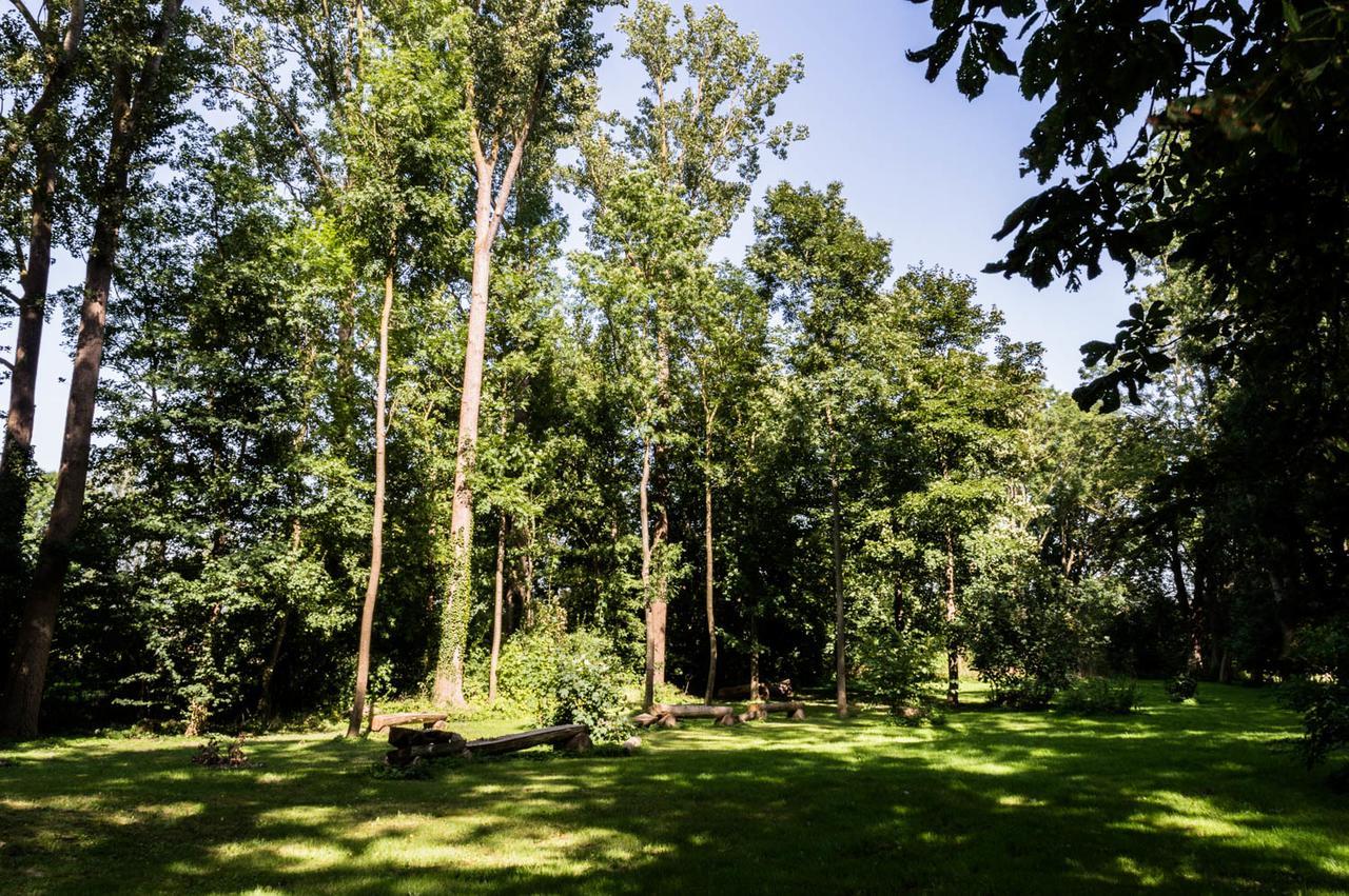 Gutshof Gross Behnkenhagen Apartment Екстериор снимка