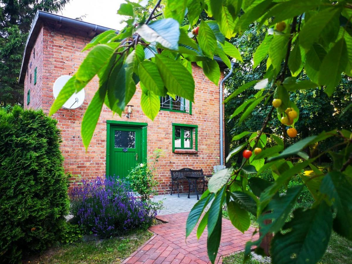 Gutshof Gross Behnkenhagen Apartment Екстериор снимка